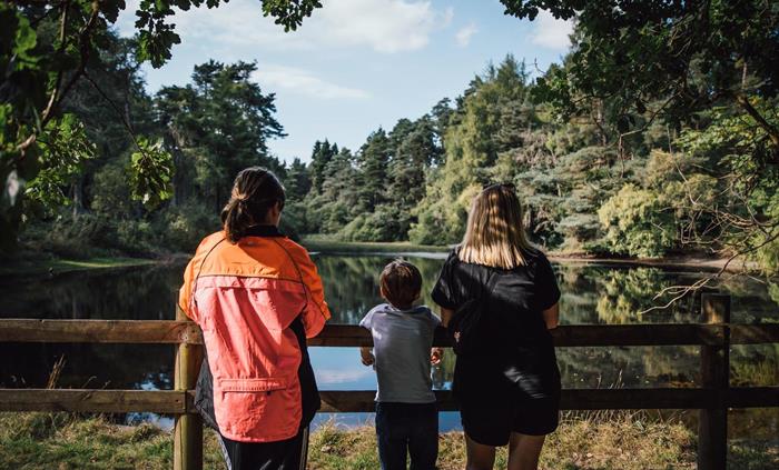 Lake view at Bod Petryal, Clocaenog Forest